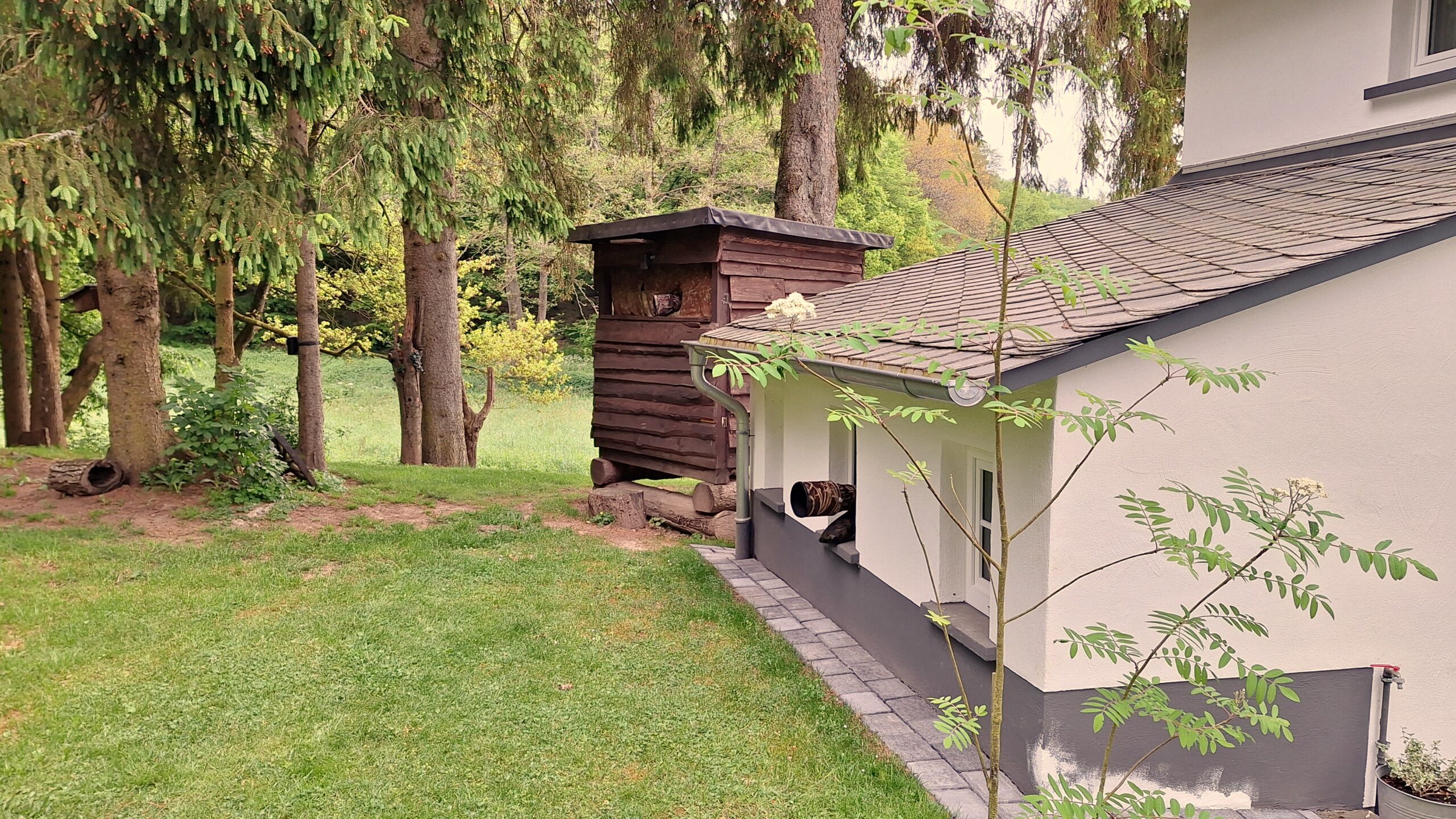Ansitzfotografie an der Schmitter Mühle - man sieht eine Holzhütte, Ansitzhütte Nr.2 mit Blick auf die beiden Teiche. Ringsum Wald und Wiese.