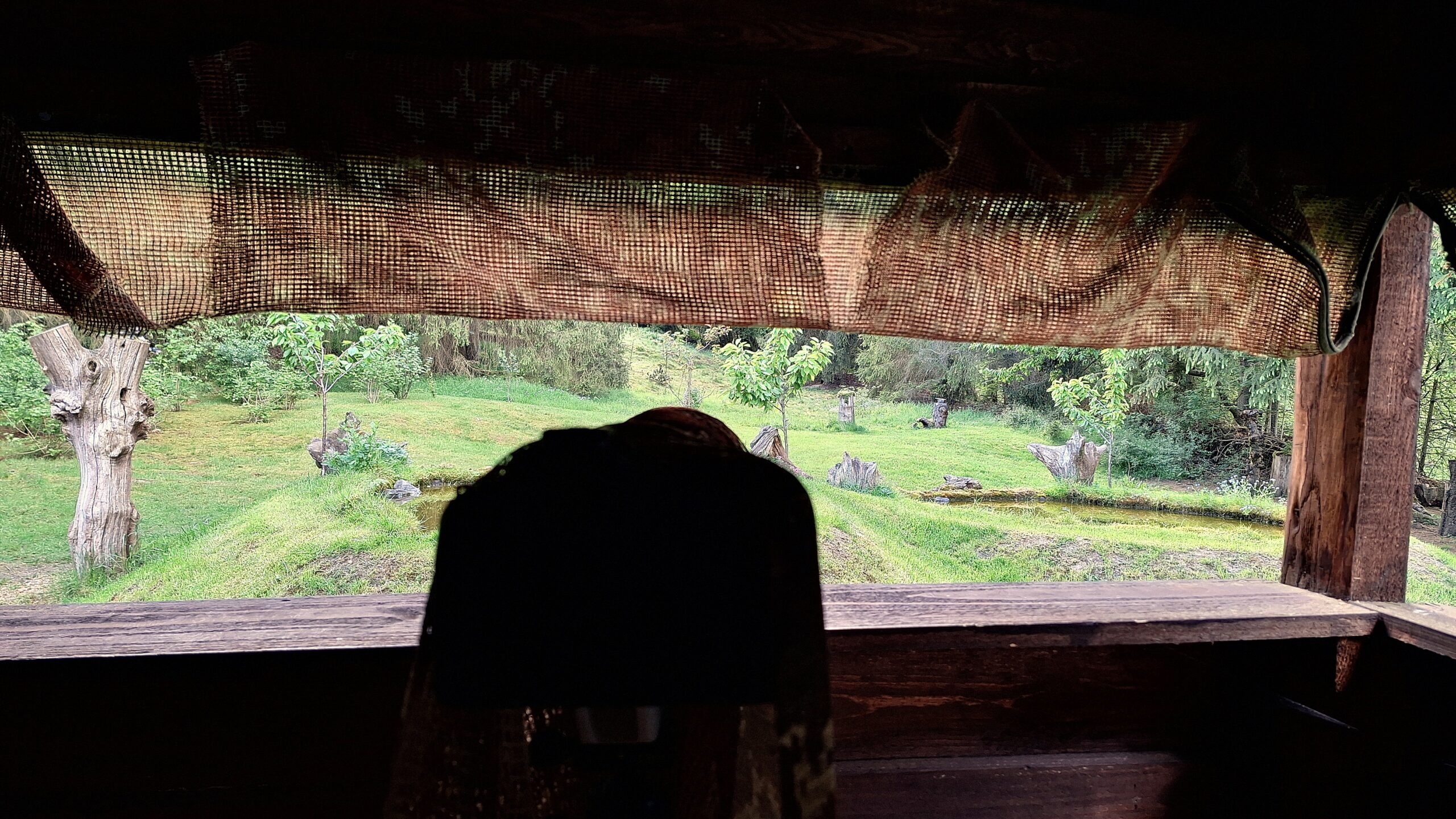 Ansitzfotografie an der Schmitter Mühle - Blick aus der Ansitzhütte 1 mit den beiden Teichen, Bäumen, Wiese und Wald.