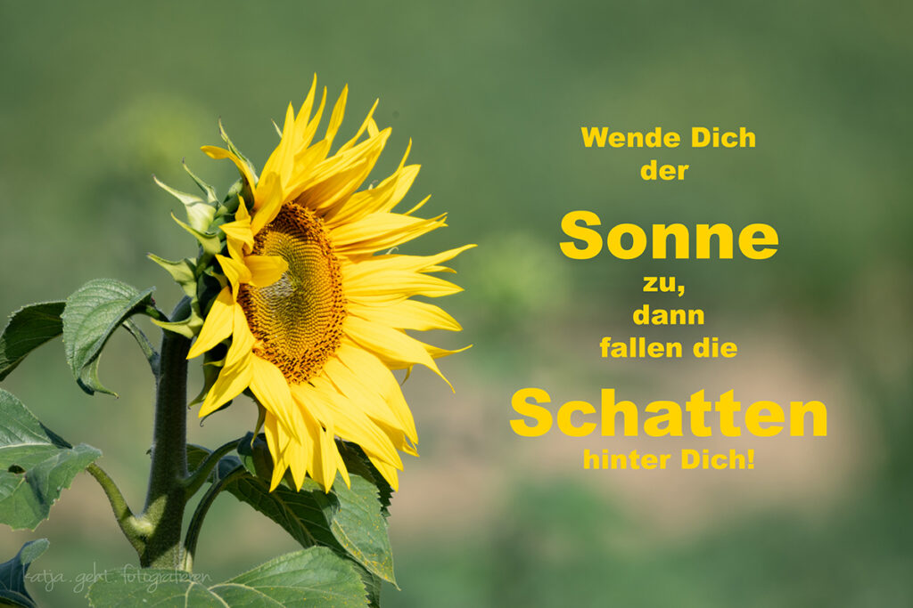 Wende Dich der Sonne zu, dann fallen die Schatten hinter Dich!